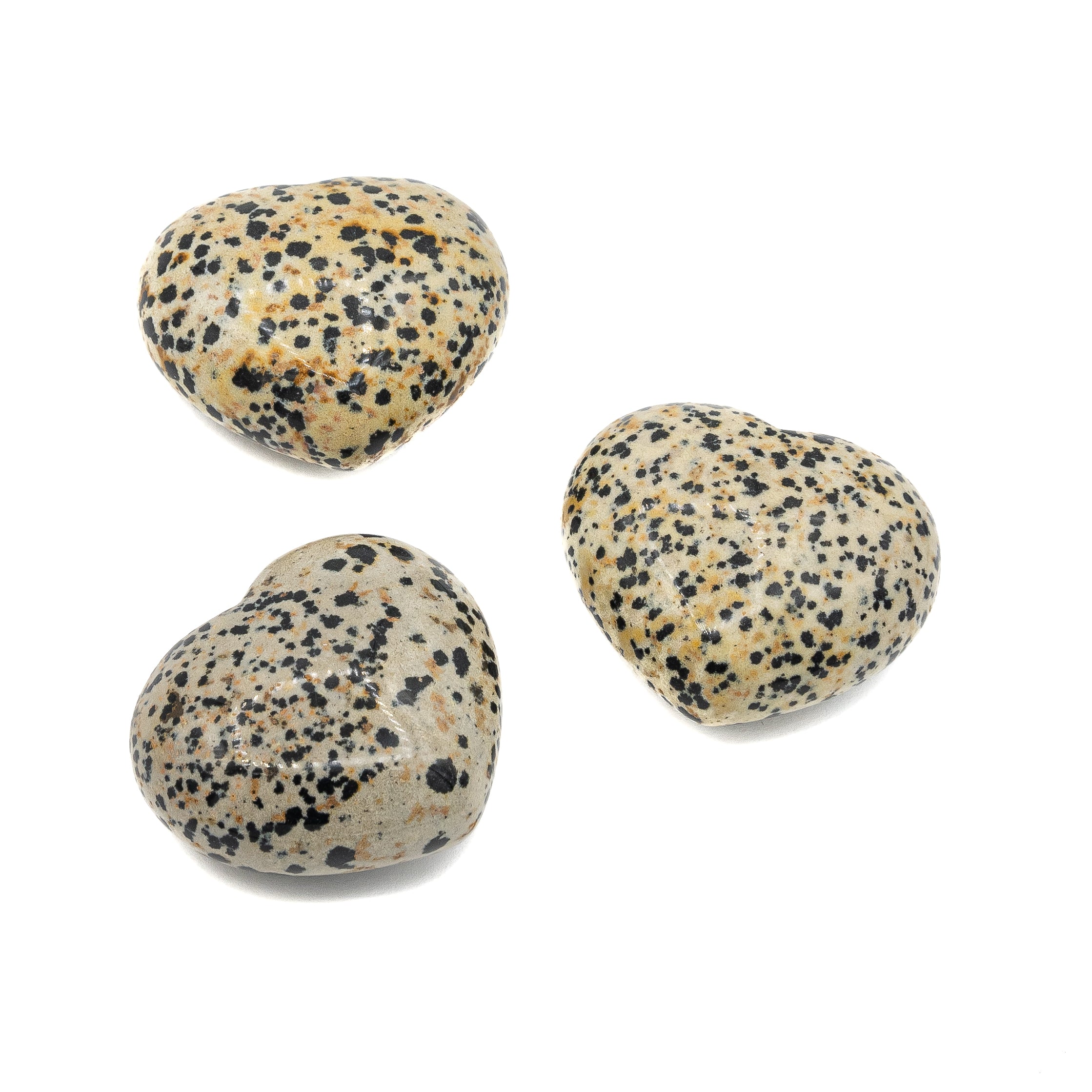 Jasper - Dalmatian Heart $35